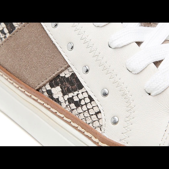 Crown Vintage Kalinda Snakeskin/Suede/Stud Sneaker - Picture 10 of 16